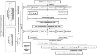 Optimizing and Individualizing the Pharmacological Treatment of First-Episode Schizophrenic Patients: Study Protocol for a Multicenter Clinical Trial
